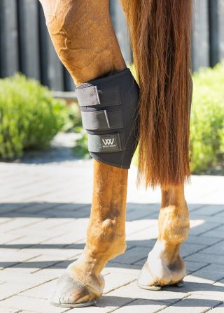Woof Wear Hock Boot