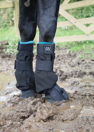 Woof Wear Anti Mud Fever Boot