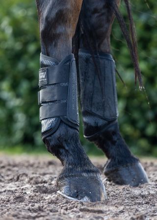 Eventing Pro Event Boot - rear
