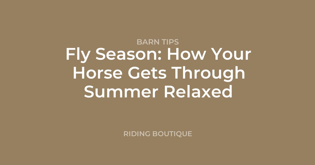 Fly Season: How Your Horse Gets Through Summer Relaxed
