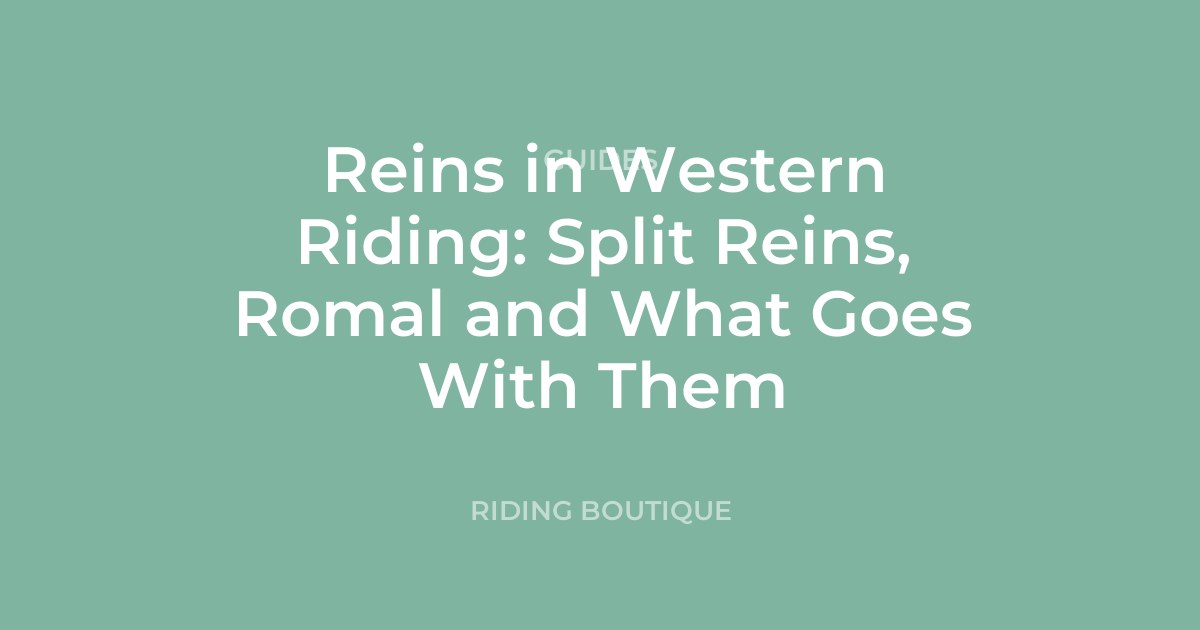 Reins in Western Riding: Split Reins, Romal and What Goes With Them