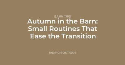 Autumn in the Barn: Small Routines That Ease the Transition