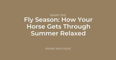 Fly Season: How Your Horse Gets Through Summer Relaxed
