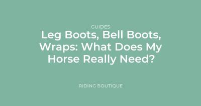 Leg Boots, Bell Boots, Wraps: What Does My Horse Really Need?