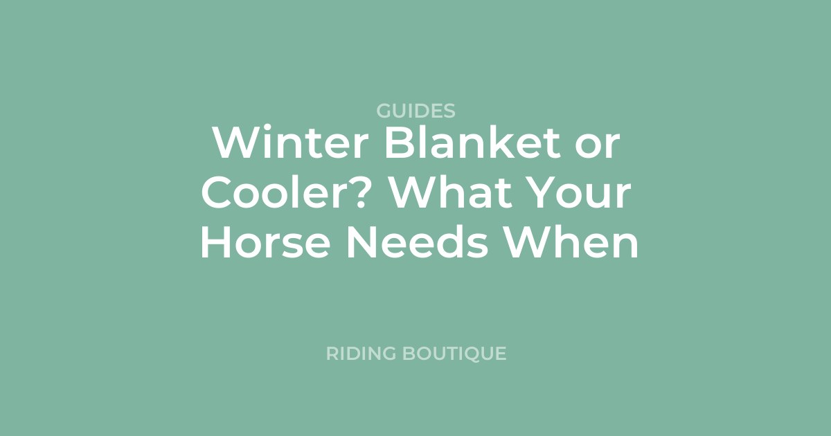 Winter Blanket or Cooler? What Your Horse Needs When